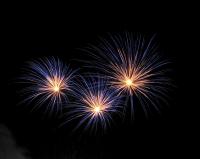 rogny les 7 ecluses 2010