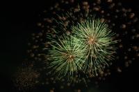 rogny les 7 ecluses 2010