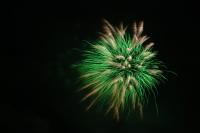 rogny les 7 ecluses 2010