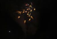 cosne cour sur loire 2011