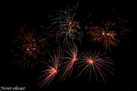 Feu d'artifice du 14 Juillet 2011 à Nemours 77140