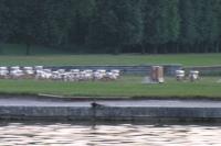 Grandes eaux nocturnes versailles 2006